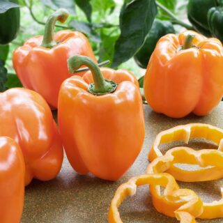 Orange Pepper