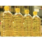 Parliament Organic Peanut Oil 910 G