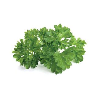 Parsley 1Bunch