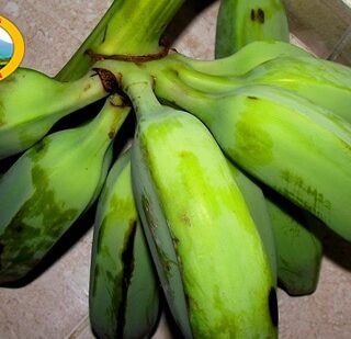 Rulo Banana