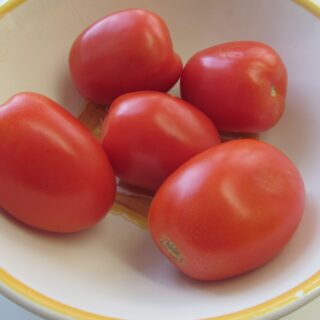 Tomato Plum