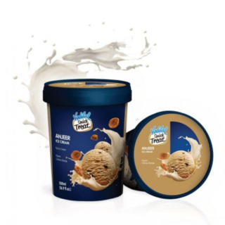 Vadilal Anjeer Ice Cream 100 Gm