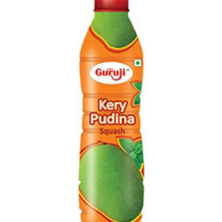 Guruji Kery Pudina