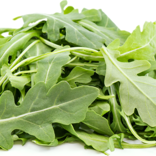 Wild Arugula