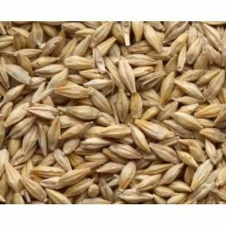 Barley Whole 2Lb