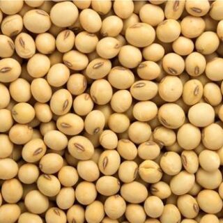 Fresh Soyabean 2 L.B