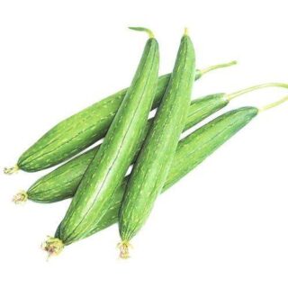 Galka