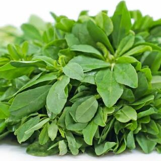 Methi 1 Bunch