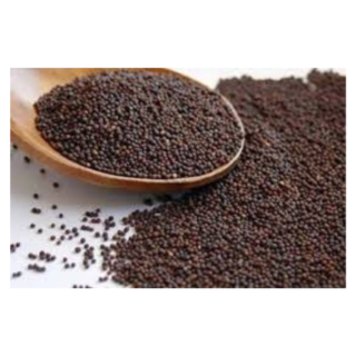 Mustard Seeds 28 Oz