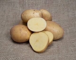 Idaho Potato