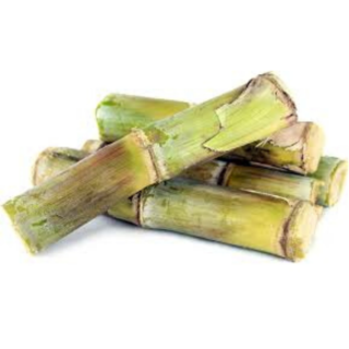Sugarcane (Long) 1 pc