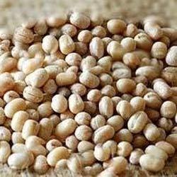 Urad Gota 4 Lb