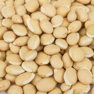 Val Dal 2Lb