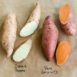 Yam