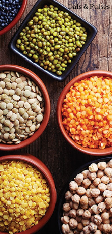 dals_pulses